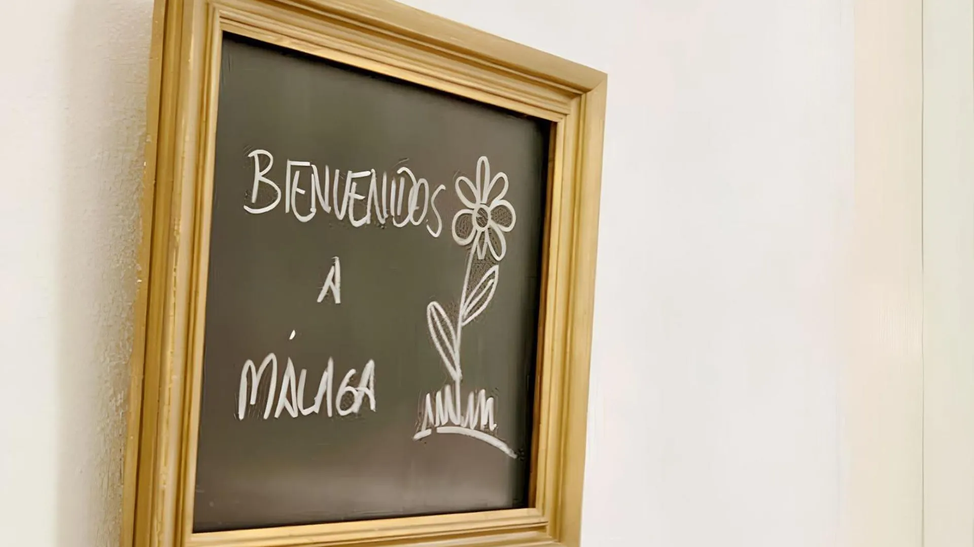 Charming Apartment Malaga 40 M² + Internet